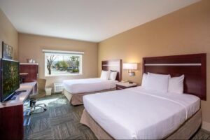 Gold Dust West Book Now Pay Later in Carson City
