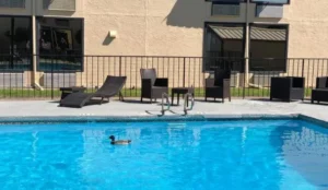 Abilene Whitten Inn Book Now Pay Later Hotels