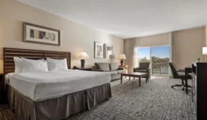 Best Western Plus Bayside Hotel Book Now Pay Later Hotels