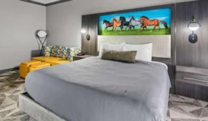 Big Country Hotel & Suites, SureStay Collection by BW Book Now Pay Later Hotels