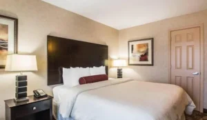 Clarion Inn Elmhurst - Oak Brook near I-88, I-290, I-294 Book Now Pay Later Hotels
