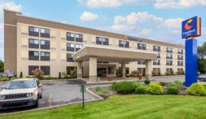 Comfort Inn Binghamton I-81 Book Now Pay Later Hotels