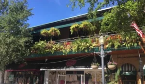 Park Plaza Hotel Orlando - Winter Park Book Now Pay Later Hotels