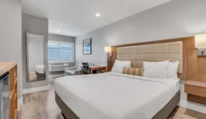 Sather Berkeley - SureStay Collection by Best Western Book Now Pay Later Hotels