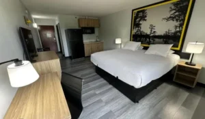 Super 8 by Wyndham Alexandria LA Book Now Pay Later Hotels