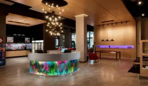 Aloft by Marriott Coral Gables Book Now Pay Later Hotels