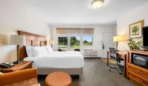 Best Western Driftwood Inn Book Now Pay Later Hotels