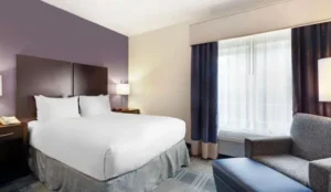 Best Western Hartford Hotel and Suites Book Now Pay Later Hotels