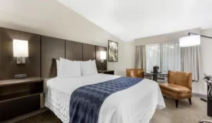 Best Western New Oregon Motel Book Now Pay Later Hotels