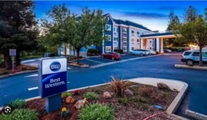Best Western Paradise Hotel Book Now Pay Later Hotels