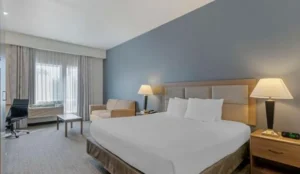 Best Western Plus Peppertree Nampa Civic Center Inn Book Now Pay Later Hotels
