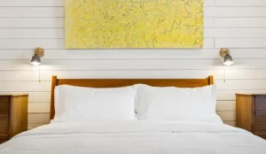 Boutique Room steps from Downtown Mall Rose Jean Room 1 Book Now Pay Later Hotels