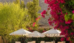 Casa Cody Book Now Pay Later Hotels