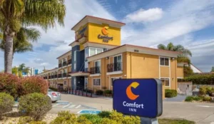 Comfort Inn Castro Valley Book Now Pay Later Hotels