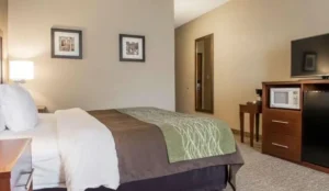 Comfort Inn Edinburg South Book Now Pay Later Hotels
