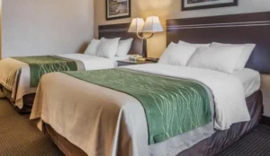 Comfort Inn On the Bay Book Now Pay Later Hotels
