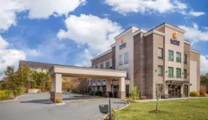 Comfort Inn & Suites Florence Center Area Book Now Pay Later Hotels