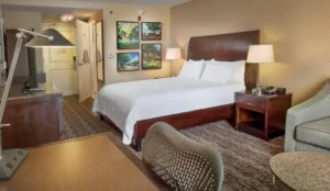 Hilton Garden Inn St. Louis Airport Book Now Pay Later Hotels
