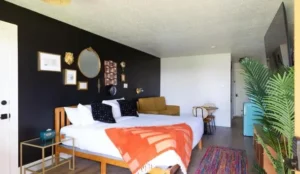Hotel McCoy College Station - Art, Libations, Pool Society Book Now Pay Later Hotels