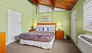 Oceanfront Inn, Standard, King Bed, Inlet View #15 Book Now Pay Later Hotels