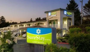 SureStay Hotel by Best Western Castro Valley Book Now Pay Later Hotels