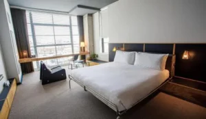 The Emily Hotel Book Now Pay Later Hotels
